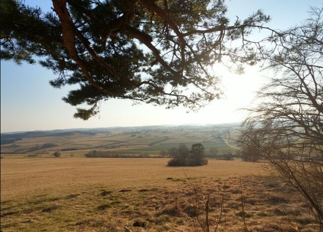 Ruine Hohengenkingen, Sonnenbühl, Germany